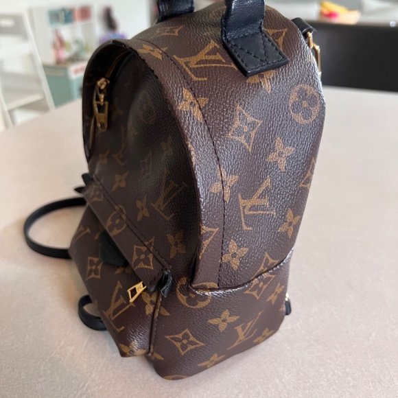 Louis Vuitton Palm Springs Mini Backpack - Picture 2 of 5